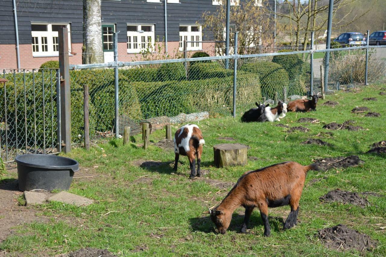 De Rulse Hoeve Heeze Kültér fotó
